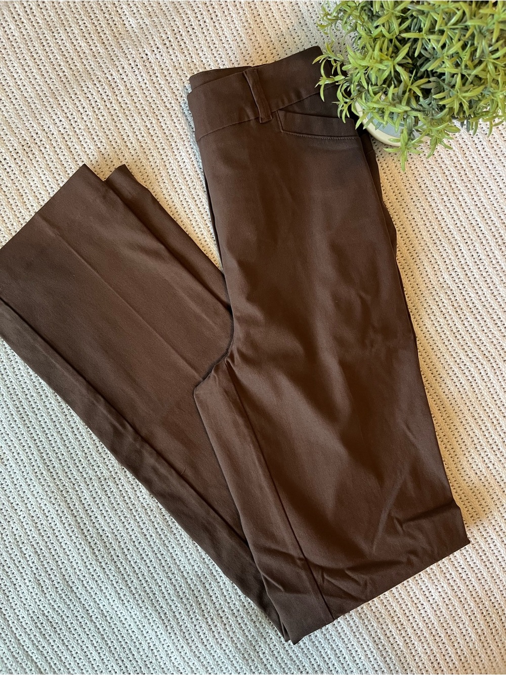 Straight-Leg High-Rise Pant - The Iconic - Brown - Size 6 - Tall